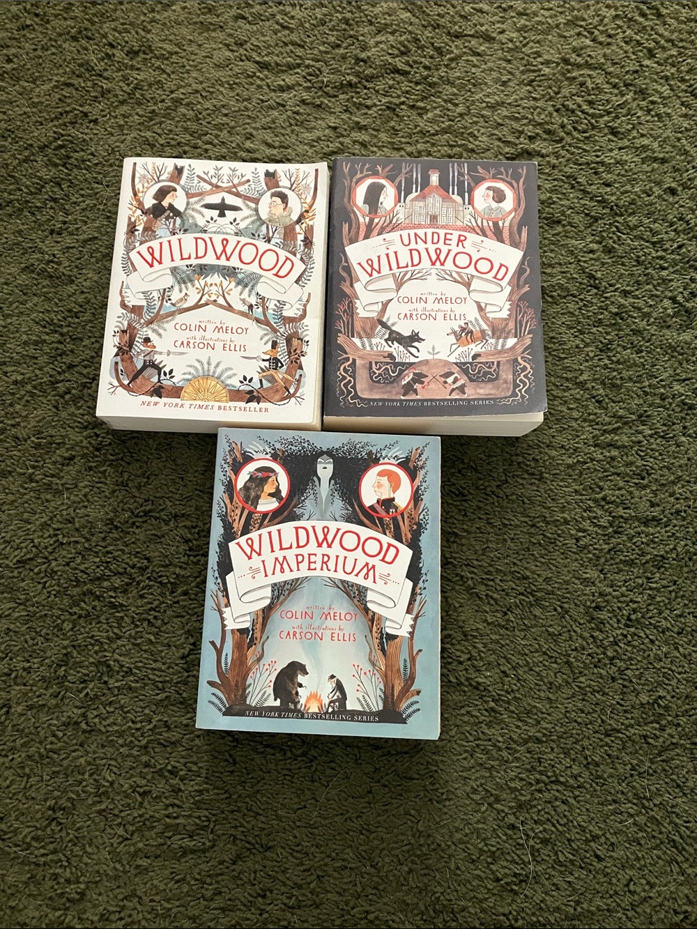 Wildwood Series book bundle